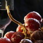 10064-ruta_vino