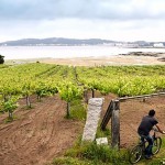 rias-baixas