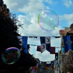 DSC_1195-01