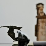 DSC_9977-01
