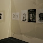 exparquitalcaymas (10)