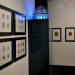 exparquitalcaymas (12)