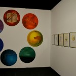 exparquitalcaymas (21)