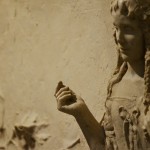 exparquitalcaymas (4)