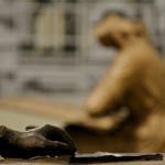 exparquitalcaymas (6)