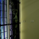 exparquitalcaymas (8)