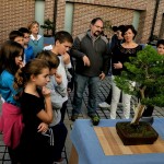 expobonsaialcymas (14)
