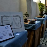 expobonsaialcymas (6)