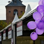 feriadelvinoalcymas (10)