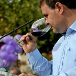 feriadelvinoalcymas (13)