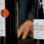 feriadelvinoalcymas (4)