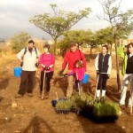 reforestacioncerros