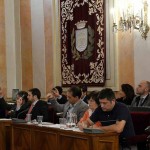 ayuntamiento-ordenanzas (11)