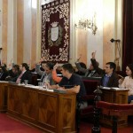 ayuntamiento-ordenanzas (12)