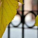 quincervantesalcymasnov2015 (23)
