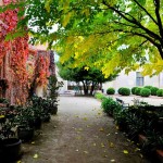 quincervantesalcymasnov2015 (6)
