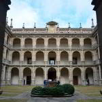 DSC_0035 – copia