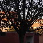 buenos-dias-260116