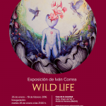 exposicion-wild-life