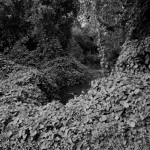 image002