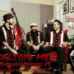 vermut-deltoyero