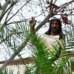 domingo-ramos-700-17