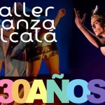 gala30_Bandera_baja – copia