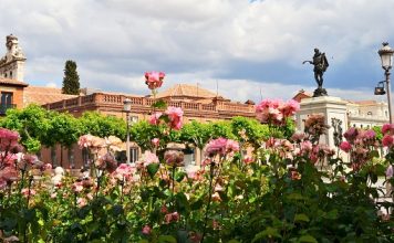 Alcalá de Henares en grupo, ciudad de Cervantes, Patrimonio Mundial https://alcalaturismoymas.com/category/visitas-guiadas/visitas-para-centros-docentes/