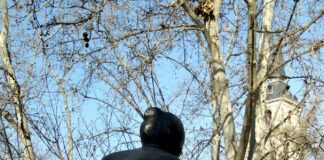 Museo de Escultura al Aire Libre de Alcalá de Henares, MUSEAL Museo de Esculturas al Aire Libre