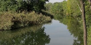 La Naturaleza en Alcalá de Henares La Naturaleza en Alcalá de Henares