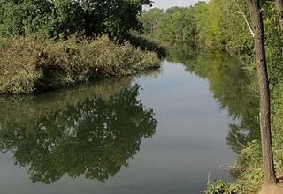 La Naturaleza en Alcalá de Henares La Naturaleza en Alcalá de Henares