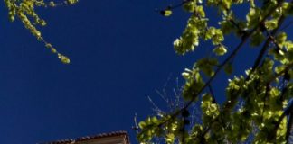 Olmeda de las Fuentes, la alcarria de Alcalá de Henares Olmeda de las Fuentes, la alcarria de Alcalá de Henares