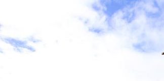 Colegio Menor de San Felipe y Santiago o del Rey Colegio Menor de San Felipe y Santiago o del Rey