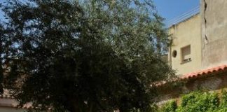 El jardín del antiguo Hospital de Antezana El jardín del antiguo Hospital de Antezana