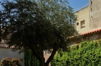 El jardín del antiguo Hospital de Antezana El jardín del antiguo Hospital de Antezana