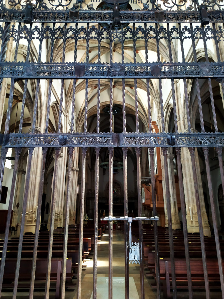 Algunas rejas de la Catedral Magistral de Alcalá de Henares