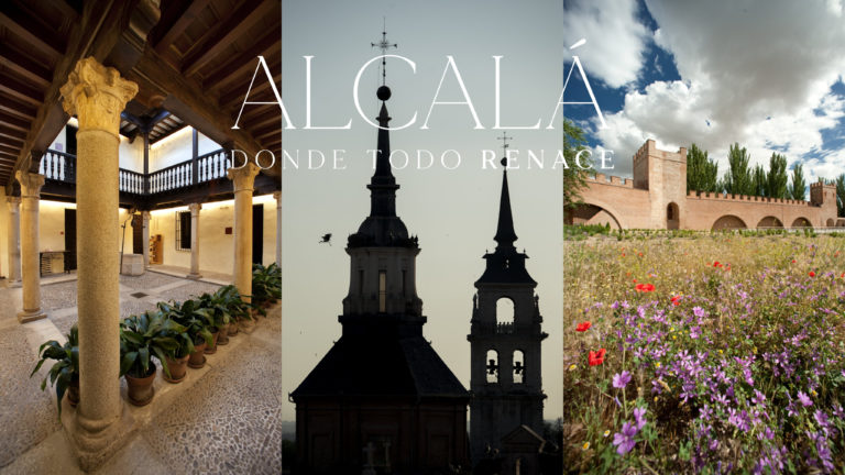Visita "Alcalá literaria" I y II, Alcalá de Henares
