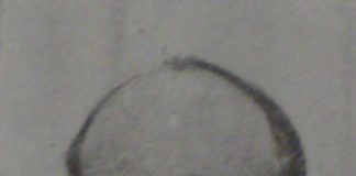 Salvador de Madariaga y su apuesta por Alcalá de Henares Salvador de Madariaga y su apuesta por Alcalá de Henares