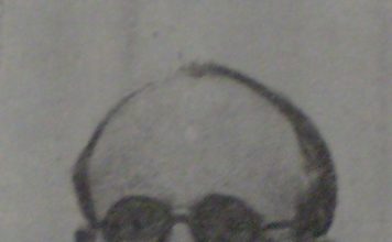 Salvador de Madariaga y su apuesta por Alcalá de Henares Salvador de Madariaga y su apuesta por Alcalá de Henares