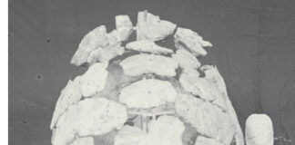 Titanochelon bolivari , las tortugas gigantes de Alcalá de Henares Titanochelon bolivari , las tortugas gigantes de Alcalá de Henares