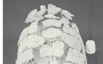 Titanochelon bolivari , las tortugas gigantes de Alcalá de Henares Titanochelon bolivari , las tortugas gigantes de Alcalá de Henares
