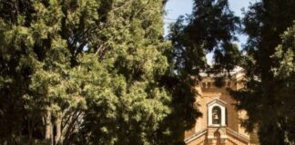 El histórico cementerio municipal de Alcalá de Henares El histórico cementerio municipal de Alcalá de Henares