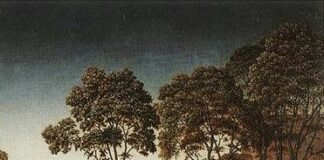 Carta de protección a la Universidad de Alcalá, Juana I de Castilla Carta de protección a la Universidad de Alcalá, Juana I de Castilla