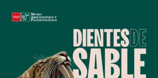 Exposición Dientes de Sable, Museo Arqueológico y Paleontológico, Alcalá de Henares Exposición Dientes de Sable, Museo Arqueológico y Paleontológico, Alcalá de Henares
