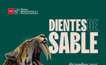 Exposición Dientes de Sable, Museo Arqueológico y Paleontológico, Alcalá de Henares Exposición Dientes de Sable, Museo Arqueológico y Paleontológico, Alcalá de Henares