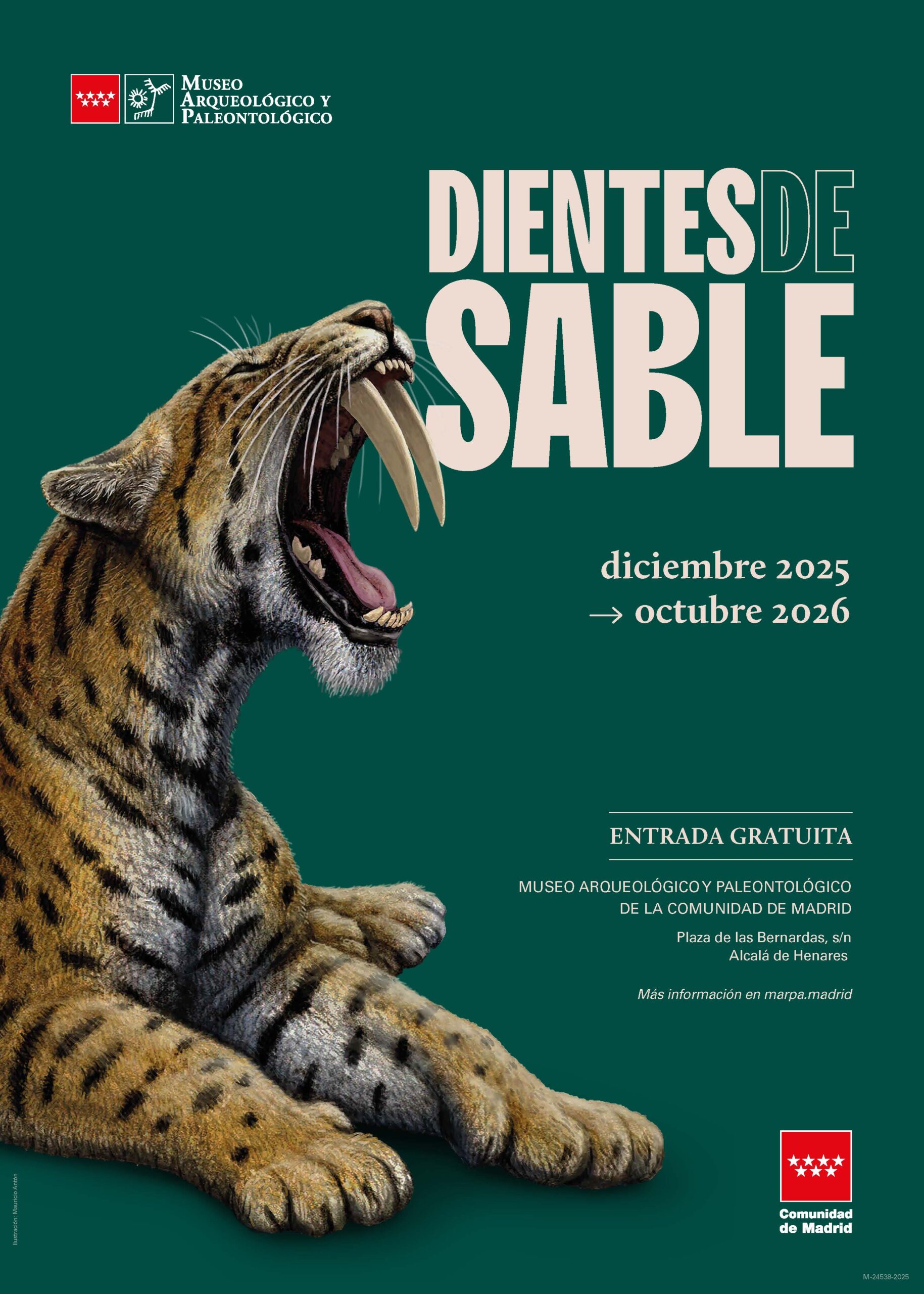 Exposición Dientes de Sable, Museo Arqueológico y Paleontológico, Alcalá de Henares Exposición Dientes de Sable, Museo Arqueológico y Paleontológico, Alcalá de Henares